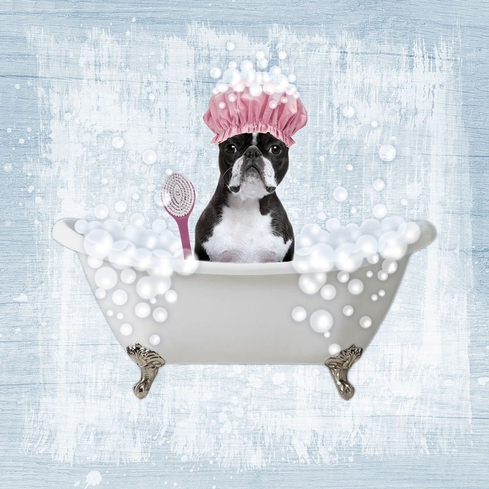 Bath Time Bubbles 2 Poster Print by Marcus Prime-VARPDXMPSQ106B Image 1