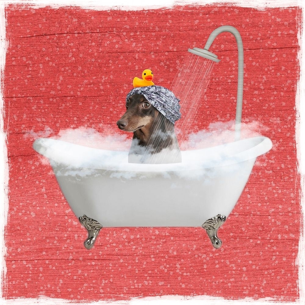 Steamy Bath 2 Poster Print by Marcus Prime-VARPDXMPSQ105B Image 1