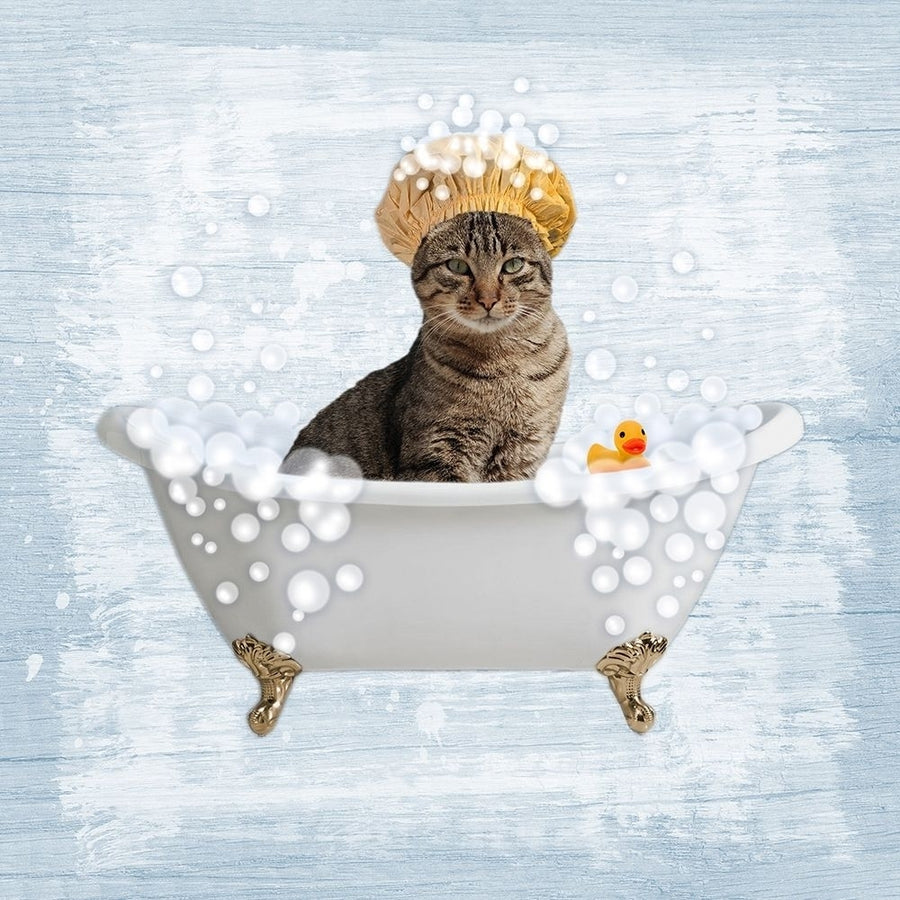 Fun Kitty Bath 2 Poster Print by Marcus Prime-VARPDXMPSQ107B Image 1