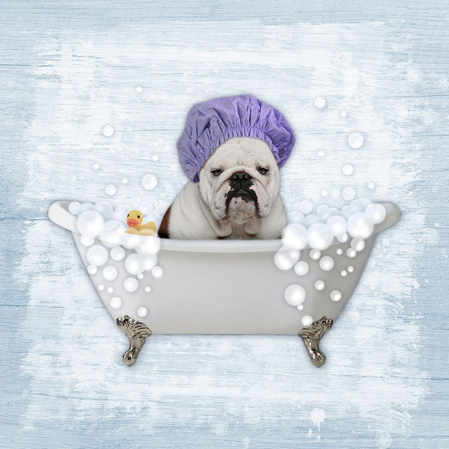 Bath Time Bubbles 1 Poster Print by Marcus Prime-VARPDXMPSQ106A Image 1