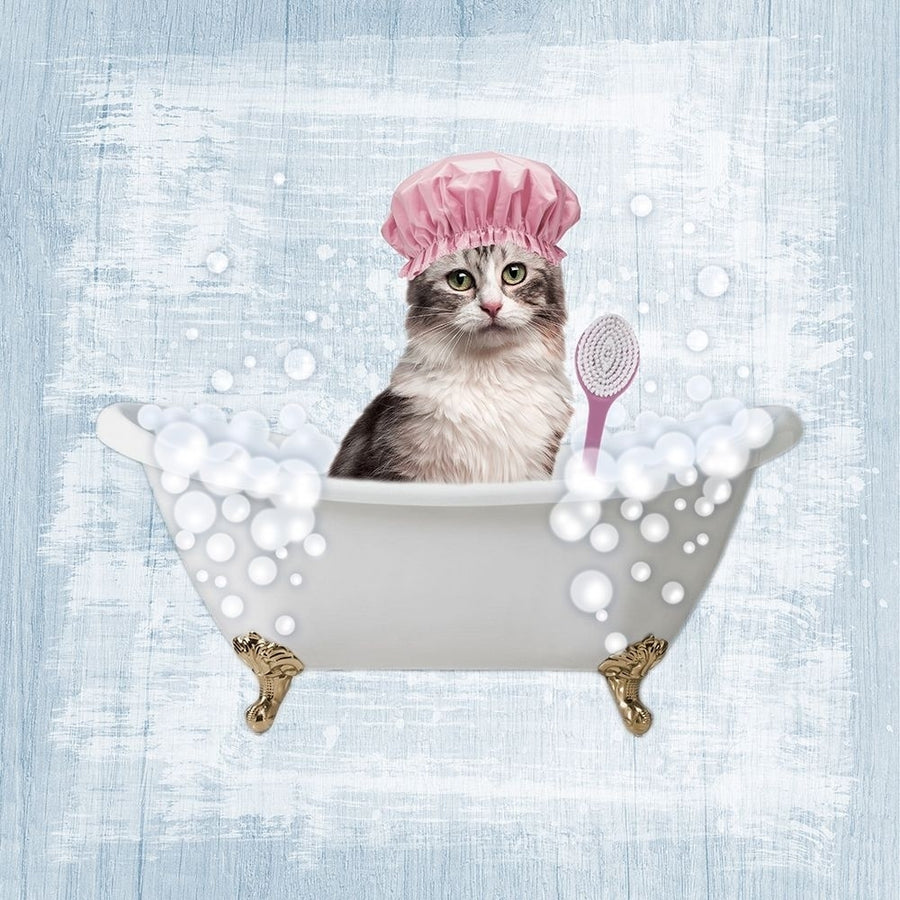 Fun Kitty Bath 1 Poster Print by Marcus Prime-VARPDXMPSQ107A Image 1