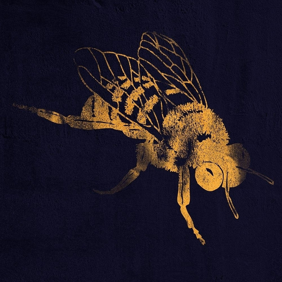 Honey Bee 1 Poster Print by Marcus Prime-VARPDXMPSQ217A Image 1