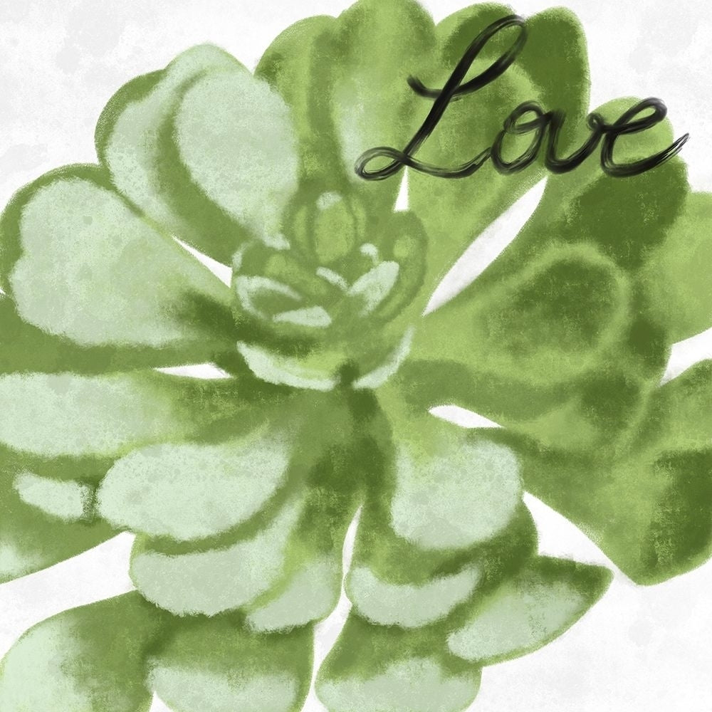 Loving Succulent 1 Poster Print by Marcus Prime-VARPDXMPSQ241A Image 1