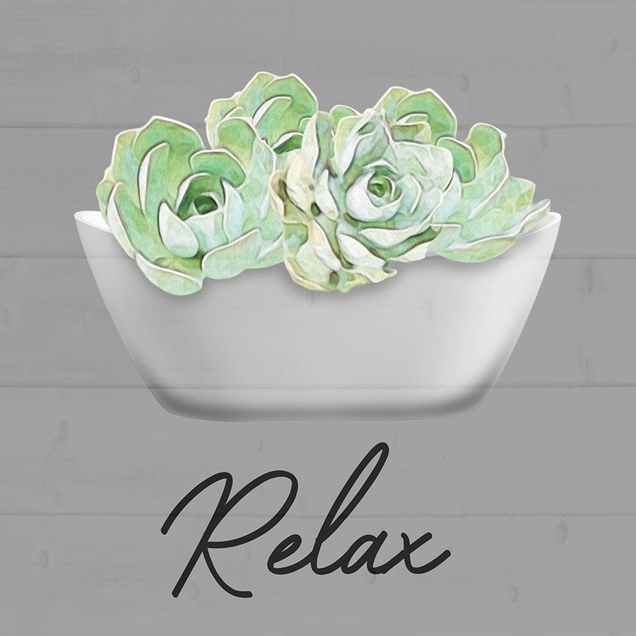 Relaxed Succulent Poster Print - Marcus Prime-VARPDXMPSQ519C Image 1