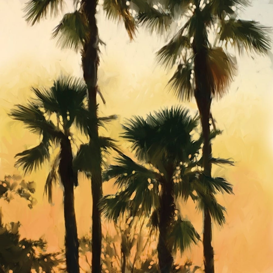 Morning Palm Tree I Poster Print by Rick Novak-VARPDXNZ043A Image 1