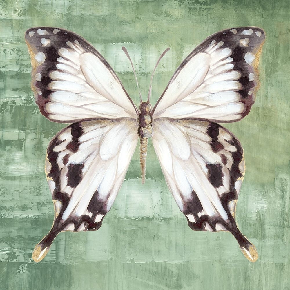 Green Butterfly II Poster Print - Eli Jones-VARPDXOE033A Image 1