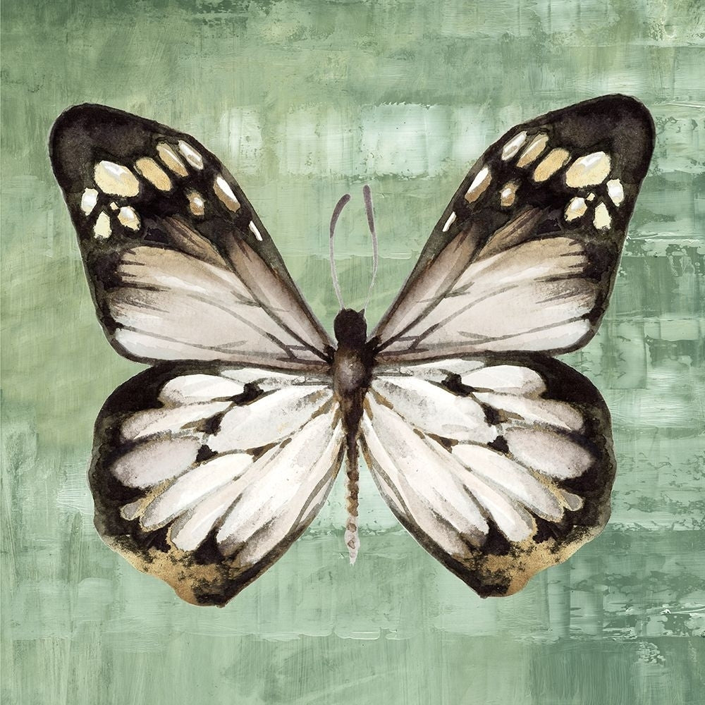 Green Butterfly III Poster Print - Eli Jones-VARPDXOE034A Image 1