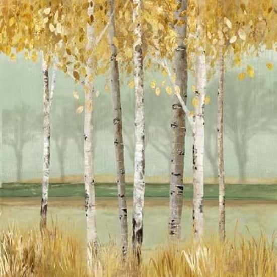 Golden Birch Poster Print by Allison Pearce -VARPDXPS042A Image 2