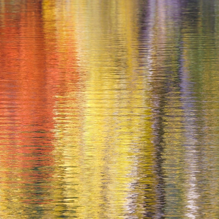 Fall Reflections IV Poster Print - Kathy Mahan-VARPDXPSMHN953 Image 1