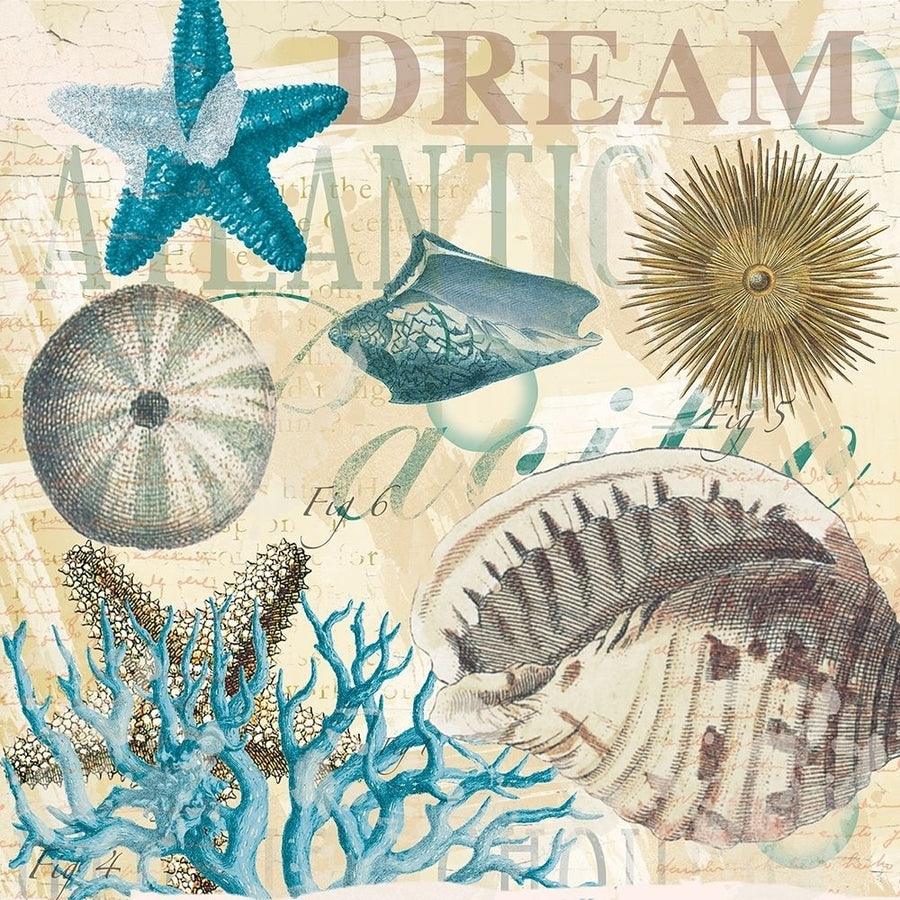 Dream Shells R1 Poster Print by Candace Allen-VARPDXQCASQ045B Image 1