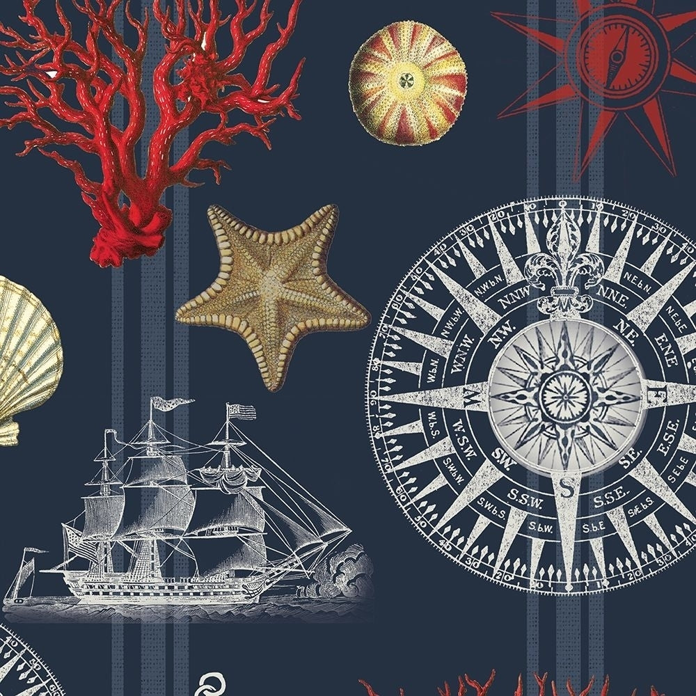 Nautical Main Navy Poster Print by Candace Allen-VARPDXQCASQ049B Image 1