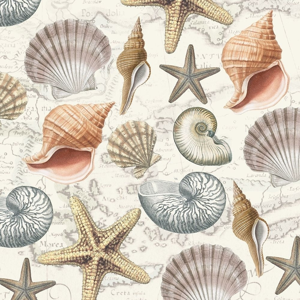 By The Sea Shells 2 Poster Print by Candace Allen-VARPDXQCASQ060B Image 1