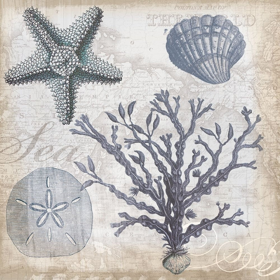 Coastal Collage by Lula Bijoux and Company-VARPDXQCASQ086A Image 1