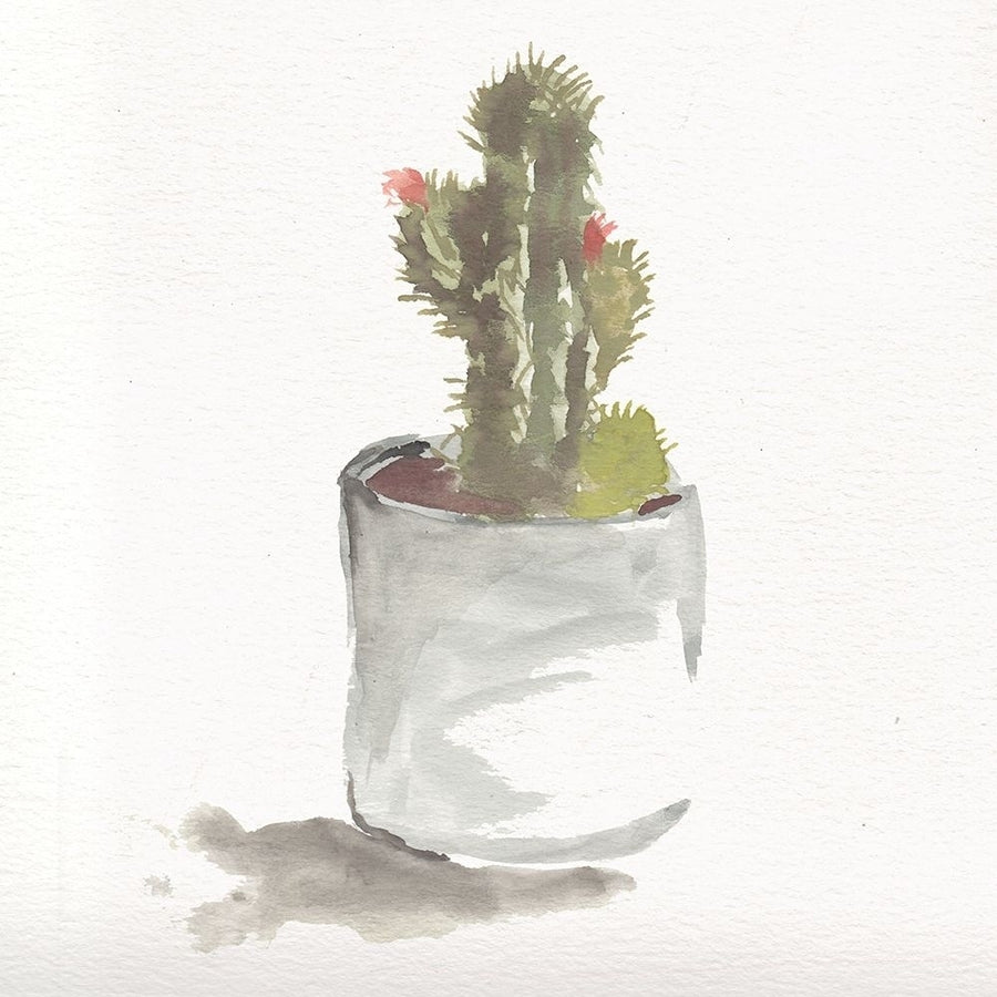 Watercolor Cactus Still Life II Poster Print by Marcy Chapman-VARPDXRB13624MCH Image 1