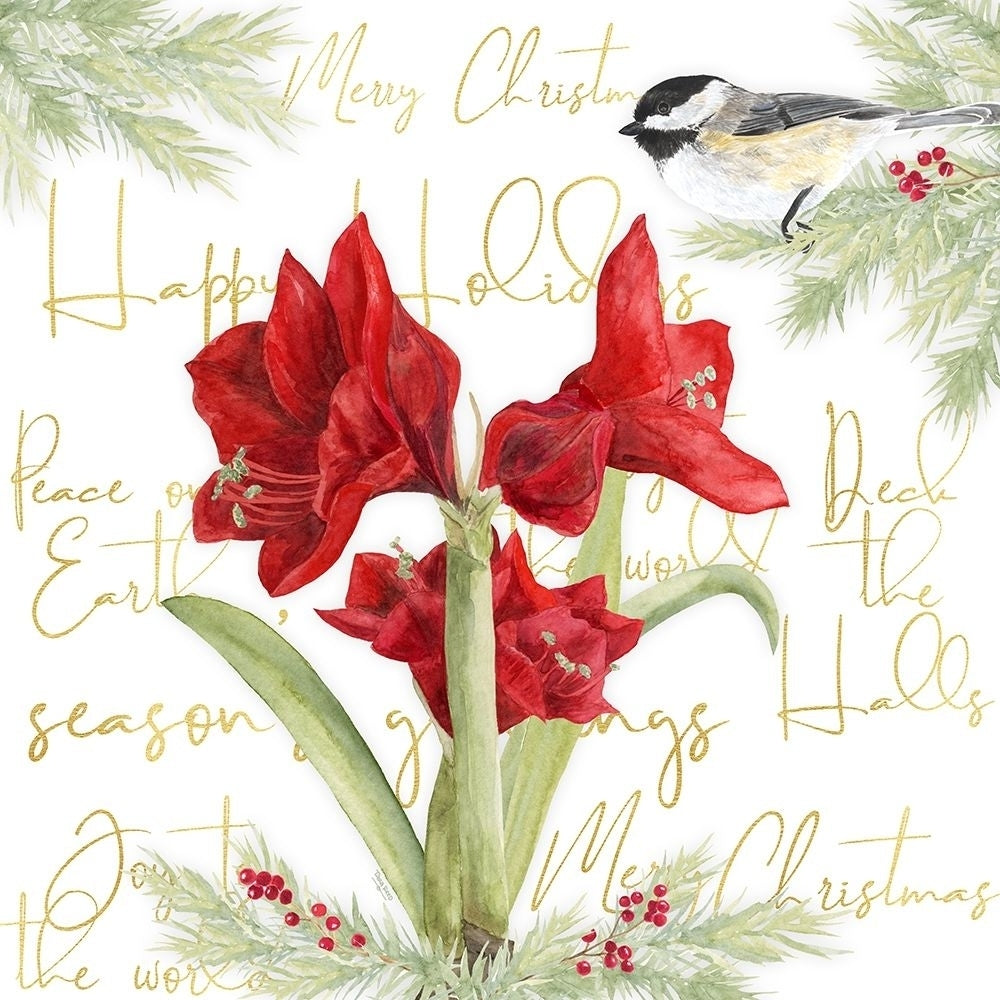 Merry Amaryllis I by Tara Reed-VARPDXRB13789TR Image 1