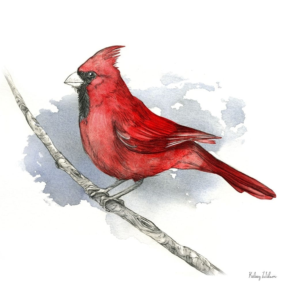 Birds And Branches I-Cardinal by Kelsey Wilson-VARPDXRB16686KWL Image 1