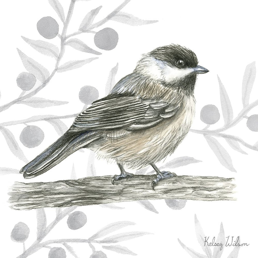 Backyard Birds II-Chickadee Poster Print - Kelsey Wilson-VARPDXRB16960KWL Image 1