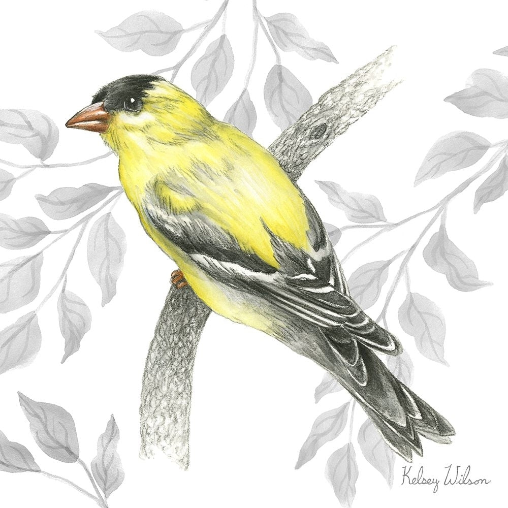 Backyard Birds IV-Goldfinch II Poster Print - Kelsey Wilson-VARPDXRB16962KWL Image 1