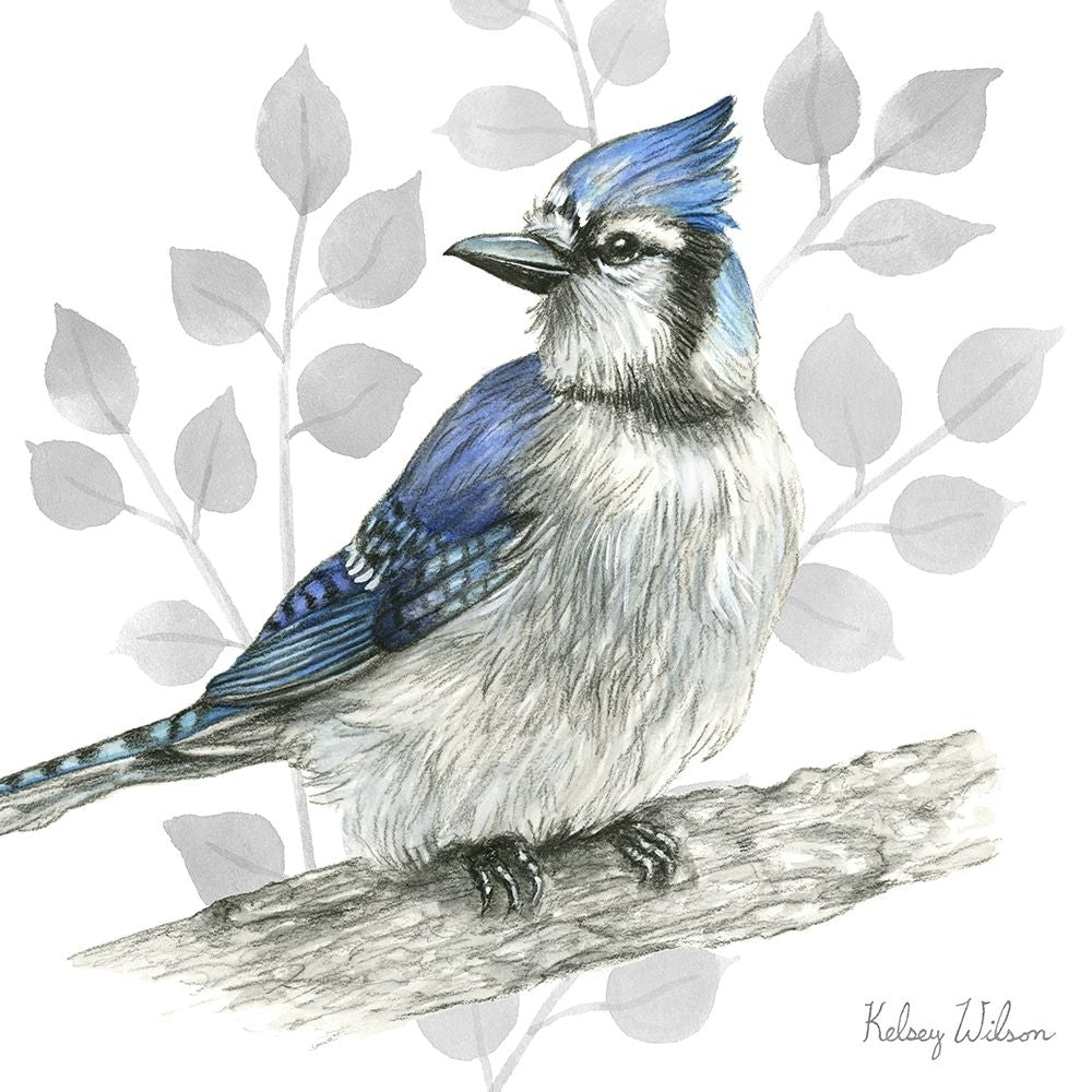 Backyard Birds I-Blue Jay Poster Print - Kelsey Wilson-VARPDXRB16959KWL Image 1