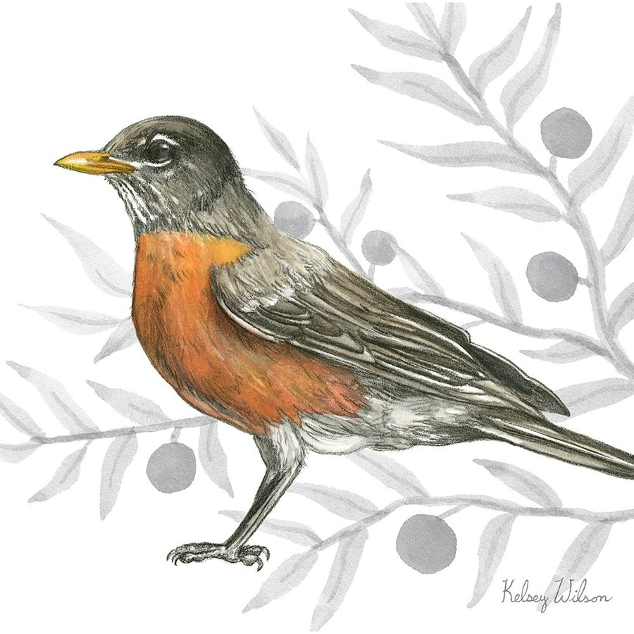 Backyard Birds VI-Robin Poster Print - Kelsey Wilson-VARPDXRB16964KWL Image 1