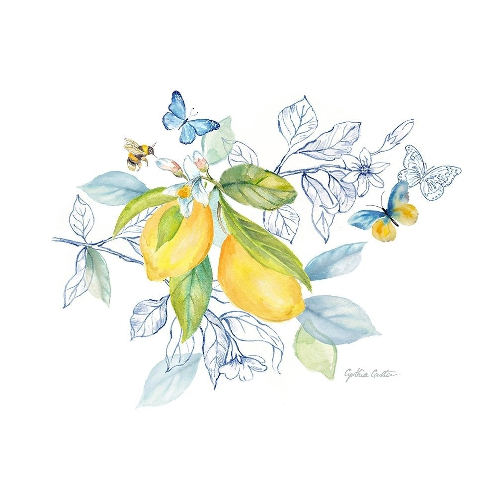 Lemon Sketch Book II by Cynthia Coulter-VARPDXRBLSB02CC Image 1