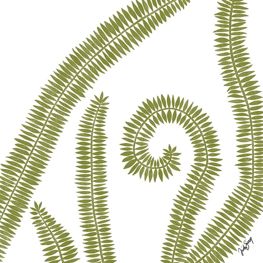 Curly Fern by Trish Sierer-VARPDXS1929D Image 1