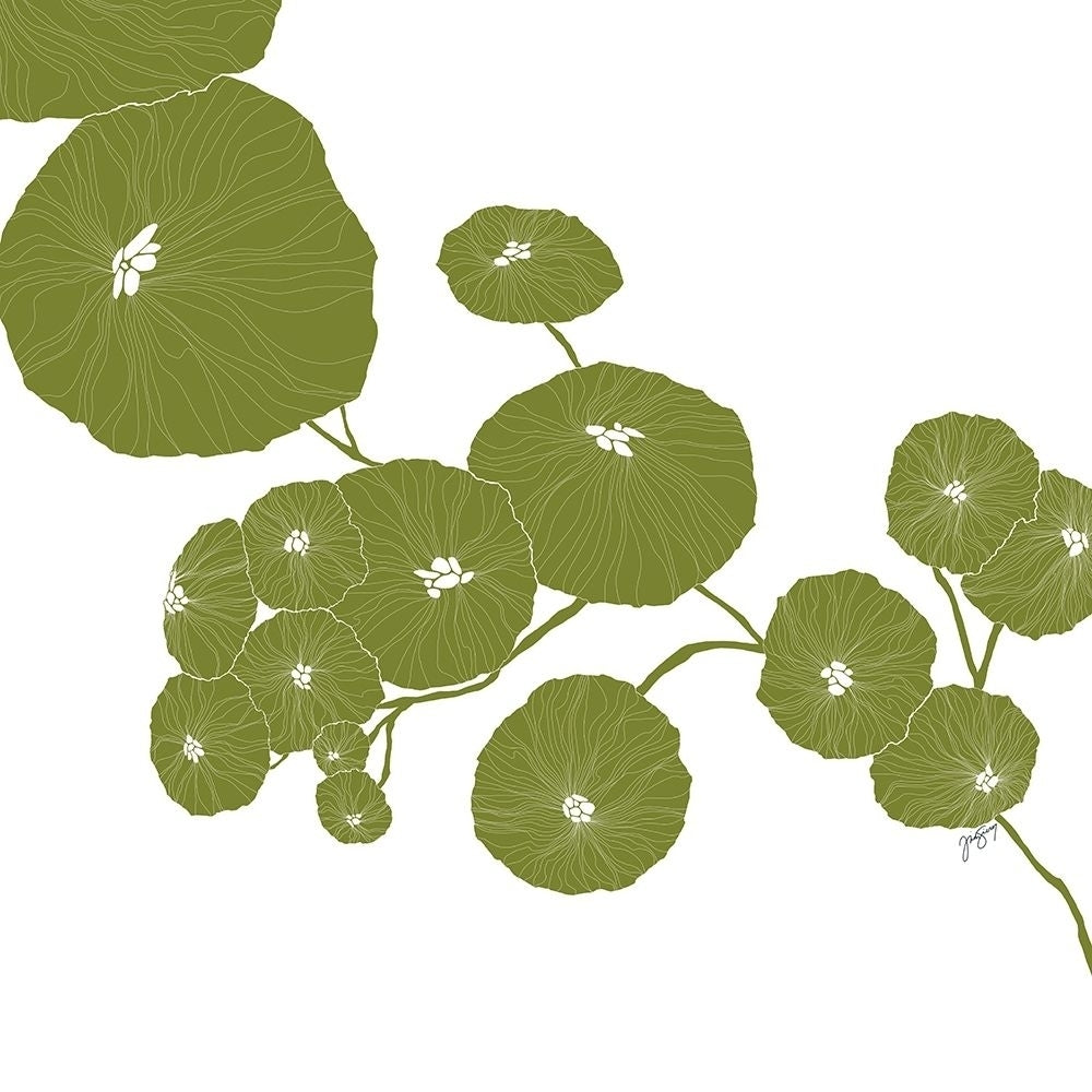 Pilea by Trish Sierer-VARPDXS1932D Image 1