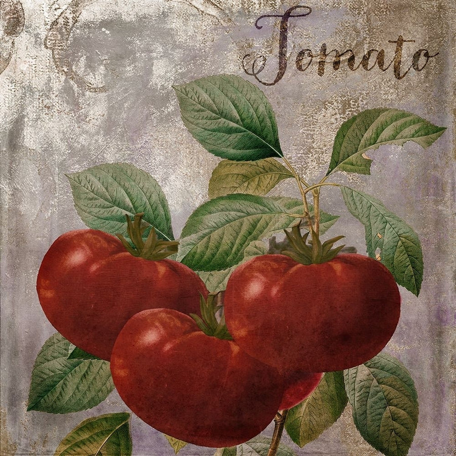 Medley_Gold_Tomato Poster Print - Sasha-VARPDXSASHA278622 Image 1