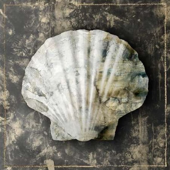 Marble Shell Series IV Poster Print by Edward Selkirk -VARPDXSE240A Image 1