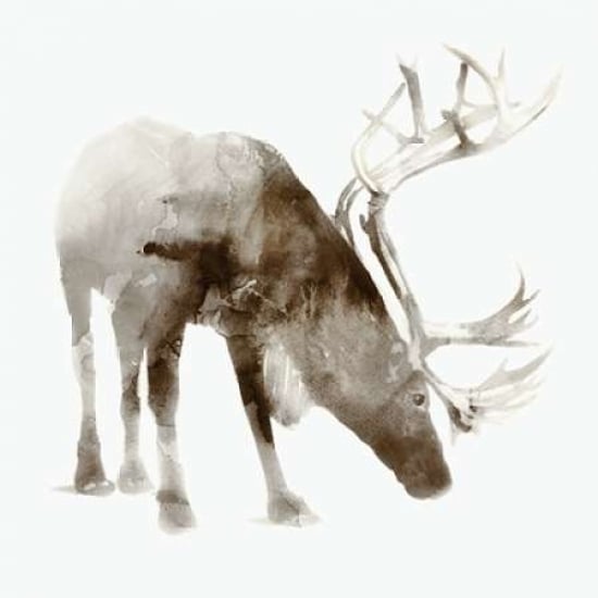 Caribou Poster Print by Edward Selkirk -VARPDXSE243A Image 1