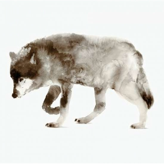 Wolf Poster Print by Edward Selkirk -VARPDXSE245A Image 2