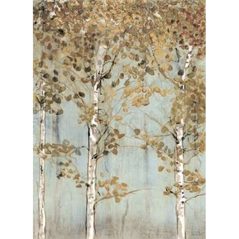 Soft Birch Poster Print by Edward Selkirk -VARPDXSE273A Image 2