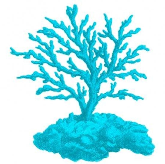 Blue Coral 4 Poster Print by Sheldon Lewis-VARPDXSLBSQ260D Image 1