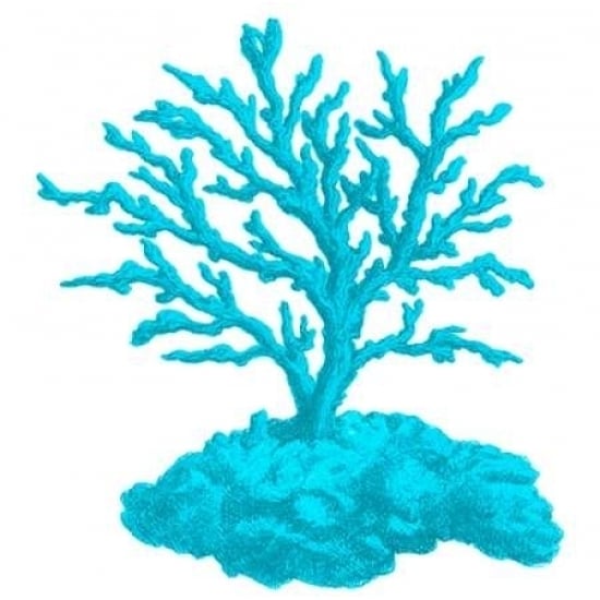 Blue Coral 4 Poster Print by Sheldon Lewis-VARPDXSLBSQ260D Image 2