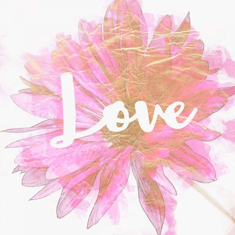 Love Daisy Poster Print by Taylor Greene-VARPDXTGSQ380B Image 1