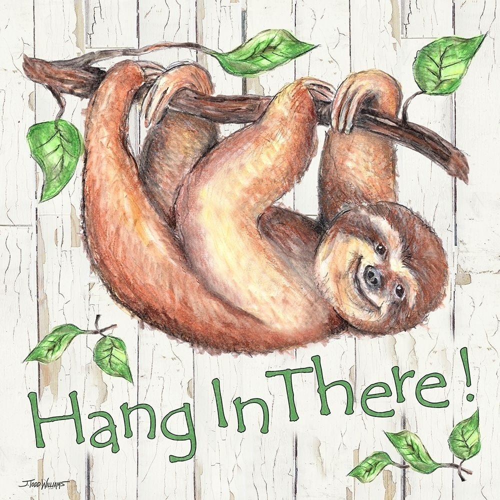 Sloth Poster Print by Todd Williams-VARPDXTWM397 Image 1