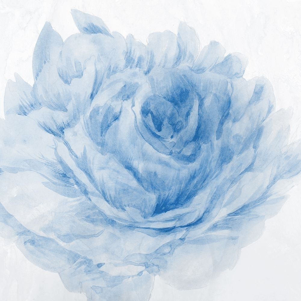 Peony Blue I Poster Print - Aria K-VARPDXAK029A Image 1