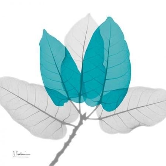 Ficus Burkey Teal Poster Print by Albert Koetsier-VARPDXAK7SQ013B3 Image 1