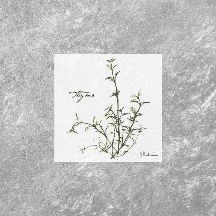 Stunning Thyme Poster Print by Albert Koetsier-VARPDXAK8SQ028B1 Image 1