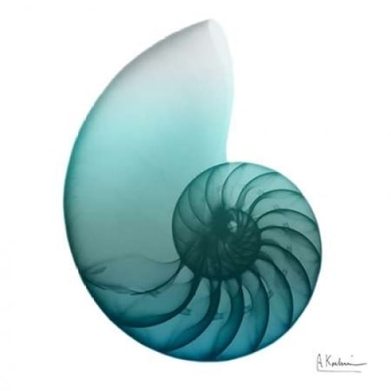 Water Snail 4 Poster Print by Albert Koetsier-VARPDXAK8SQ031B Image 2