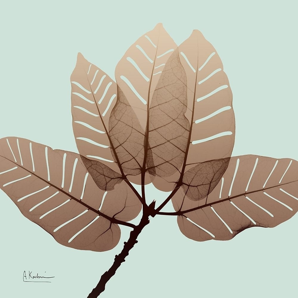 Chopped Ficus Burkey Poster Print by Albert Koetsier-VARPDXAK8SQ063A Image 1