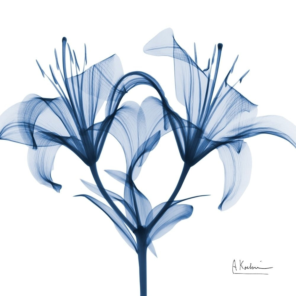 Indigo Lily by Albert Koetsier-VARPDXAK8SQ441A Image 1