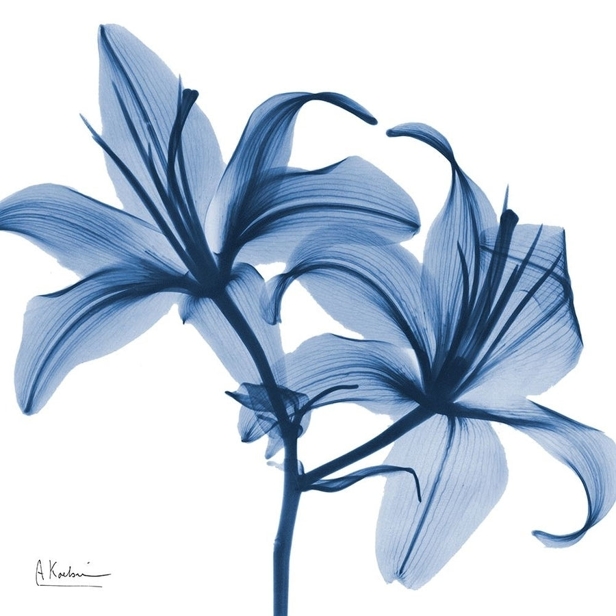 Indigo Infused Lily by Albert Koetsier-VARPDXAK8SQ456A Image 1