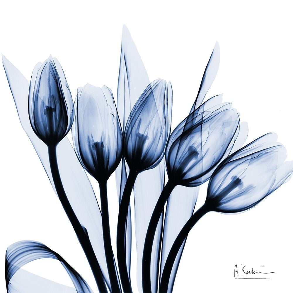 Marvelous Indigo Tulips by Albert Koetsier-VARPDXAK8SQ466A Image 1