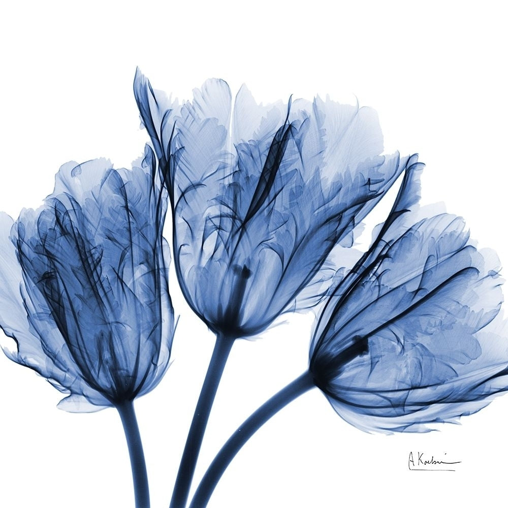 Indigo Stunning Tulips by Albert Koetsier-VARPDXAK8SQ462A Image 1