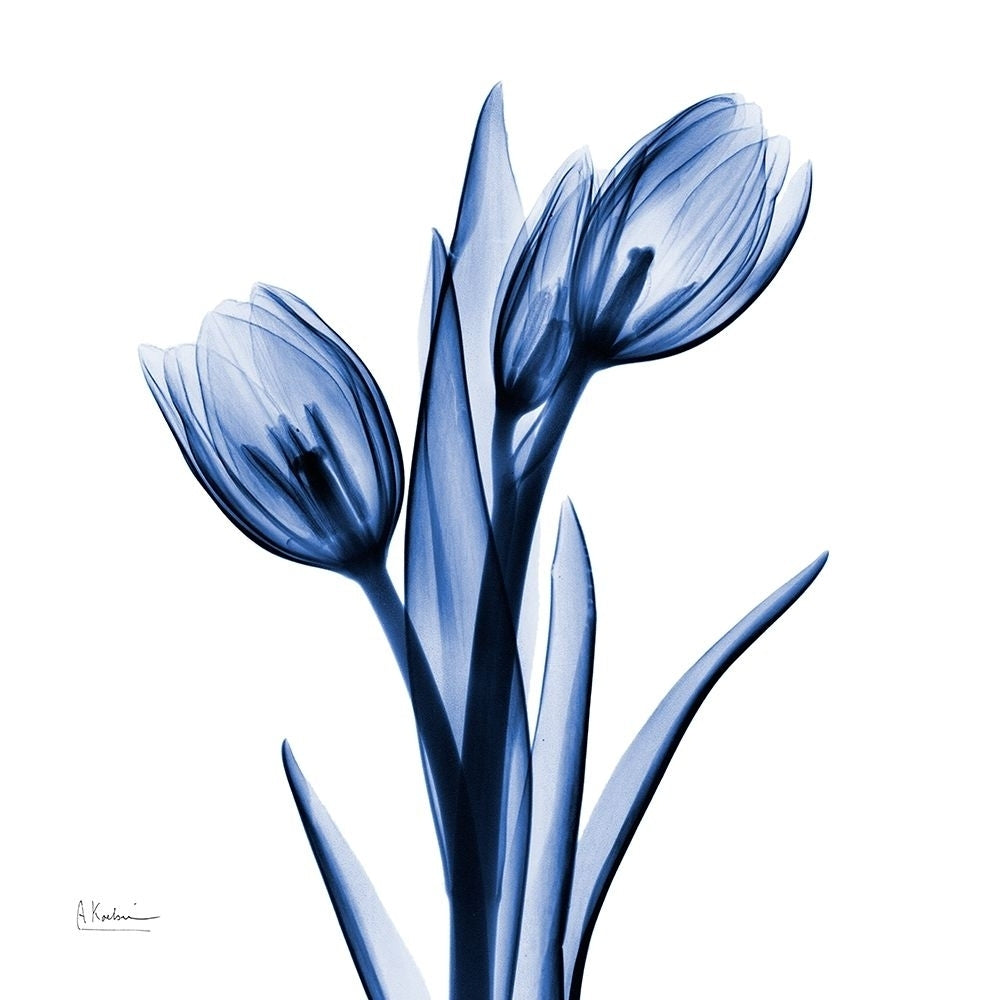 Enchanted Indigo Tulips by Albert Koetsier-VARPDXAK8SQ467A Image 1