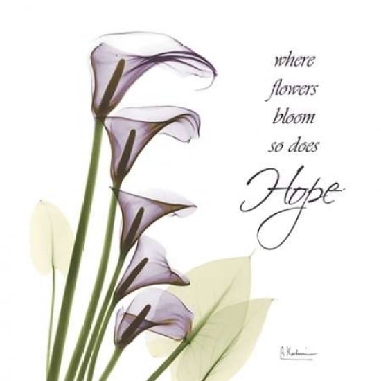 Swaying Callas - Hope Poster Print by Albert Koetsier-VARPDXAKXSQ158A Image 2