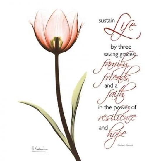 Swaying Tulip Pink - Life Poster Print by Albert Koetsier-VARPDXAKXSQ159B Image 1