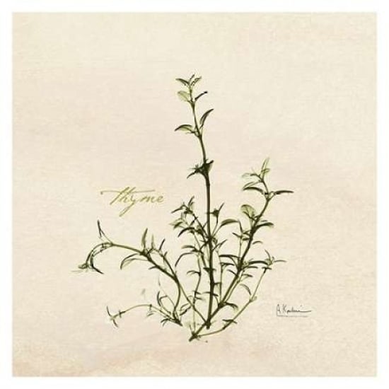 Thyme in Bloom Poster Print by Albert Koetsier-VARPDXAKXSQ163 Image 1