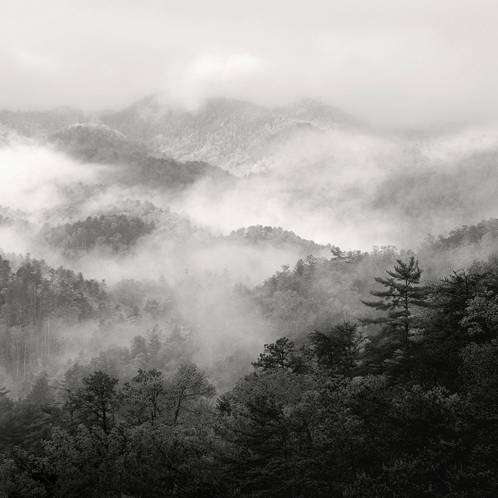 Spring Mist Smoky Mountains Poster Print - Nicholas Bell-VARPDXB4554D Image 1